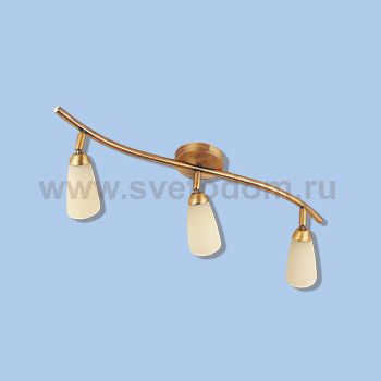 Светильник поворотный спот Citilux CL501533 Белла