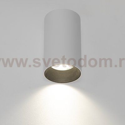 Citilux AXEL CL512110 Накладной светильник Белый