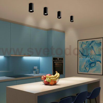 Citilux AXEL CL512111 Накладной светильник Чёрный