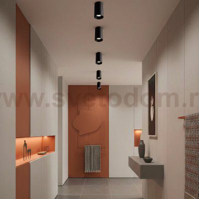 Citilux AXEL CL512111 Накладной светильник Чёрный