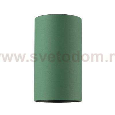 Citilux AXEL CL512115 Накладной светильник Зелёный