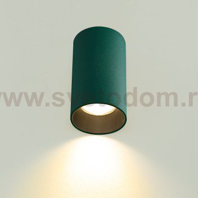 Citilux AXEL CL512115 Накладной светильник Зелёный