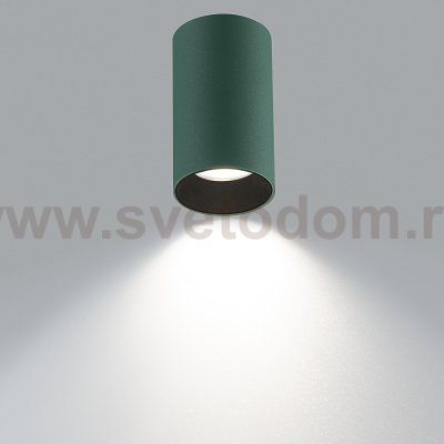 Citilux AXEL CL512115 Накладной светильник Зелёный