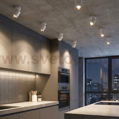 Citilux AXEL CL512210 Накладной поворотный светильник Белый