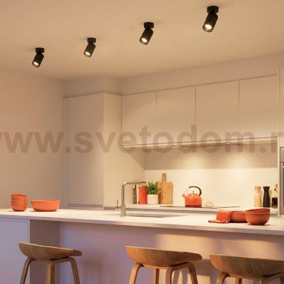 Citilux AXEL CL512211 Накладной поворотный светильник Чёрный