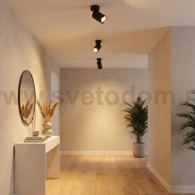 Citilux AXEL CL512211 Накладной поворотный светильник Чёрный