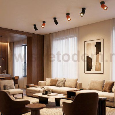 Citilux AXEL CL512211 Накладной поворотный светильник Чёрный