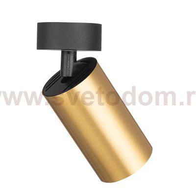 Citilux AXEL CL512212 Накладной поворотный светильник Латунь