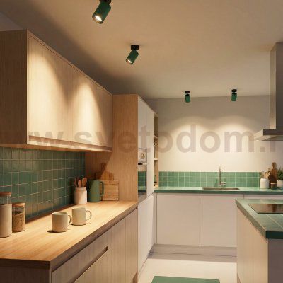 Citilux AXEL CL512215 Накладной поворотный светильник Зелёный