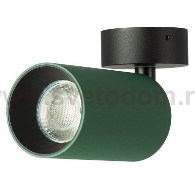 Citilux AXEL CL512215 Накладной поворотный светильник Зелёный