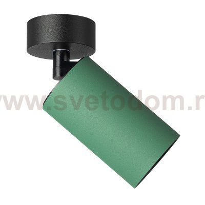 Citilux AXEL CL512215 Накладной поворотный светильник Зелёный