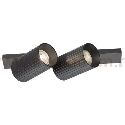 Citilux AXEL CL512521R Спот поворотный двойной Чёрный Рифлёный