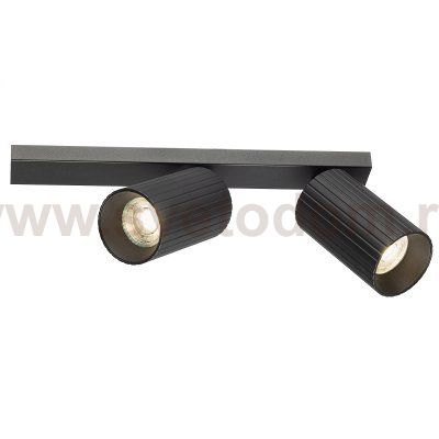 Citilux AXEL CL512521R Спот поворотный двойной Чёрный Рифлёный