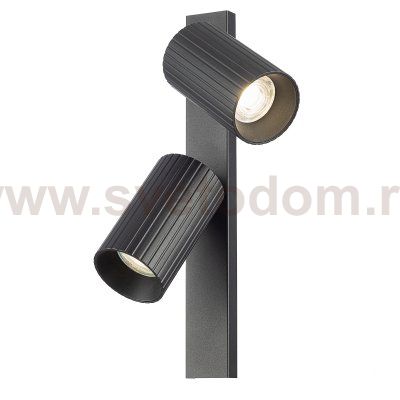 Citilux AXEL CL512521R Спот поворотный двойной Чёрный Рифлёный