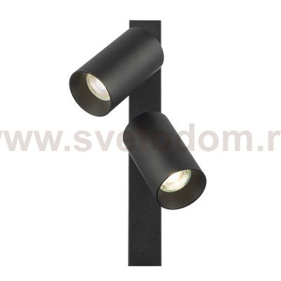 Citilux AXEL CL512521 Спот поворотный двойной Чёрный