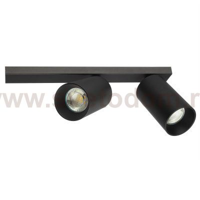 Citilux AXEL CL512521 Спот поворотный двойной Чёрный