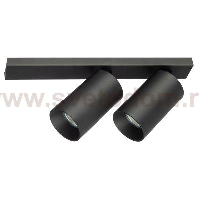 Citilux AXEL CL512521 Спот поворотный двойной Чёрный