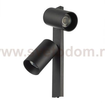 Citilux AXEL CL512521 Спот поворотный двойной Чёрный