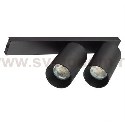 Citilux AXEL CL512521 Спот поворотный двойной Чёрный