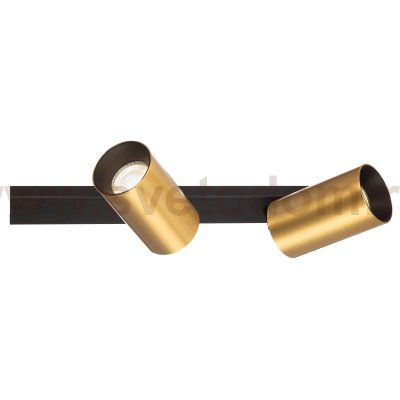 Citilux AXEL CL512522 Спот поворотный двойной Латунь