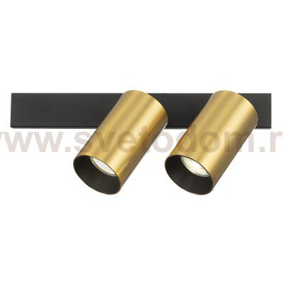 Citilux AXEL CL512522 Спот поворотный двойной Латунь