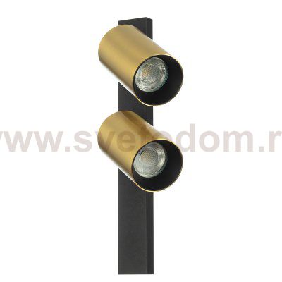 Citilux AXEL CL512522 Спот поворотный двойной Латунь