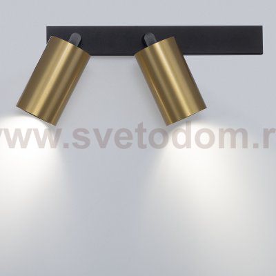 Citilux AXEL CL512522 Спот поворотный двойной Латунь