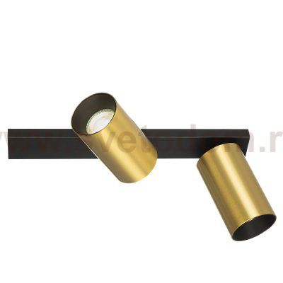 Citilux AXEL CL512522 Спот поворотный двойной Латунь
