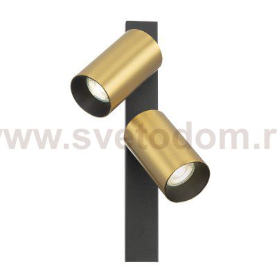 Citilux AXEL CL512522 Спот поворотный двойной Латунь
