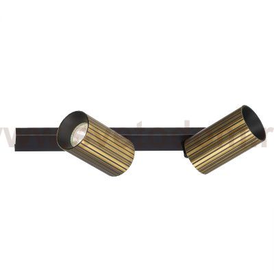 Citilux AXEL CL512523R Спот поворотный двойной Бронза Рифлёный