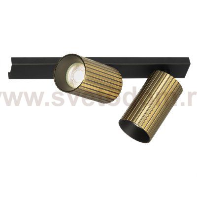 Citilux AXEL CL512523R Спот поворотный двойной Бронза Рифлёный
