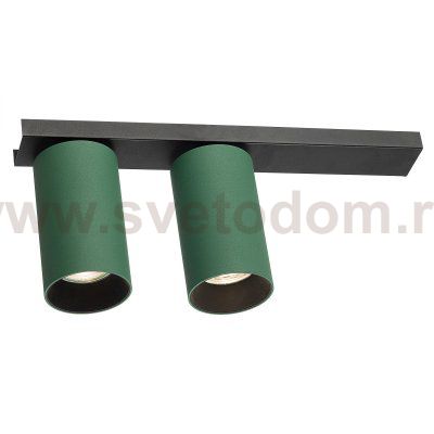 Citilux AXEL CL512525 Спот поворотный двойной Зелёный