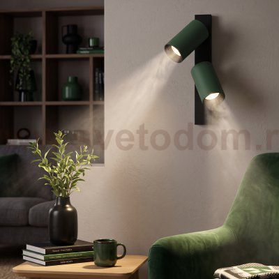 Citilux AXEL CL512525 Спот поворотный двойной Зелёный