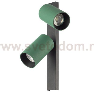 Citilux AXEL CL512525 Спот поворотный двойной Зелёный