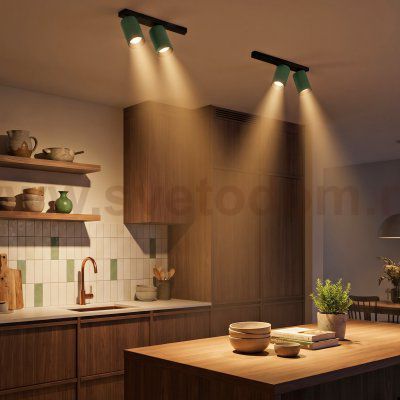 Citilux AXEL CL512525 Спот поворотный двойной Зелёный