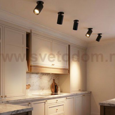 Citilux AXEL CL512D11 Спот поворотный встраиваемый Чёрный