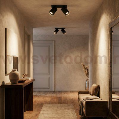 Citilux AXEL CL512D21 Спот поворотный встраиваемый двойной Чёрный