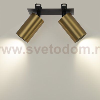 Citilux AXEL CL512D22 Спот поворотный встраиваемый двойной Латунь