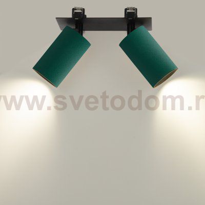 Citilux AXEL CL512D25 Спот поворотный встраиваемый двойной Зелёный