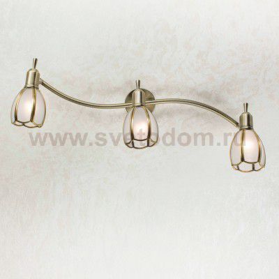 Светильник настенно-потолочный Citilux CL522631 Альтен-2