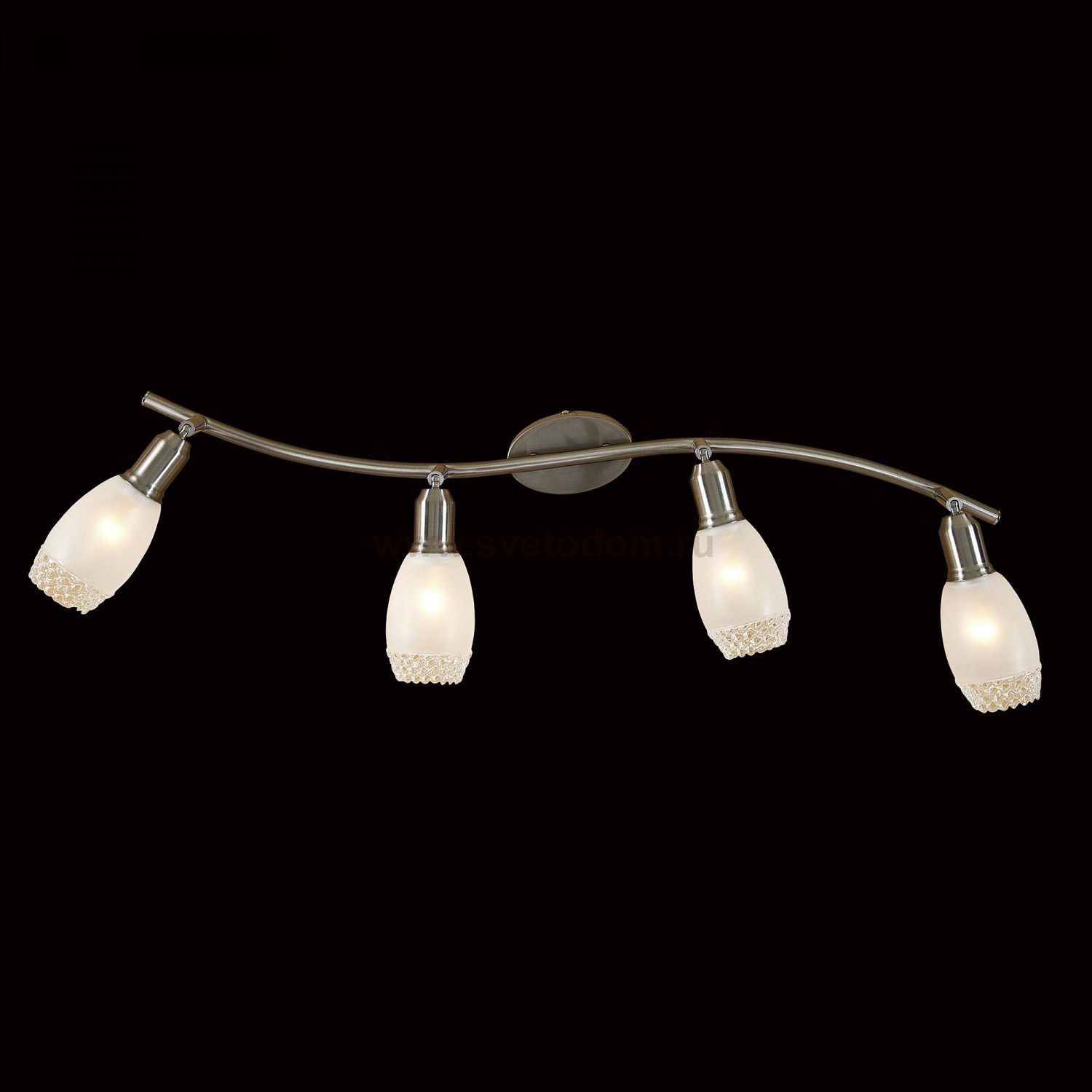 Светильник поворотный спот Citilux CL524541 Мери