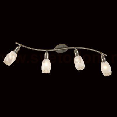 Светильник поворотный спот Citilux CL524541 Мери