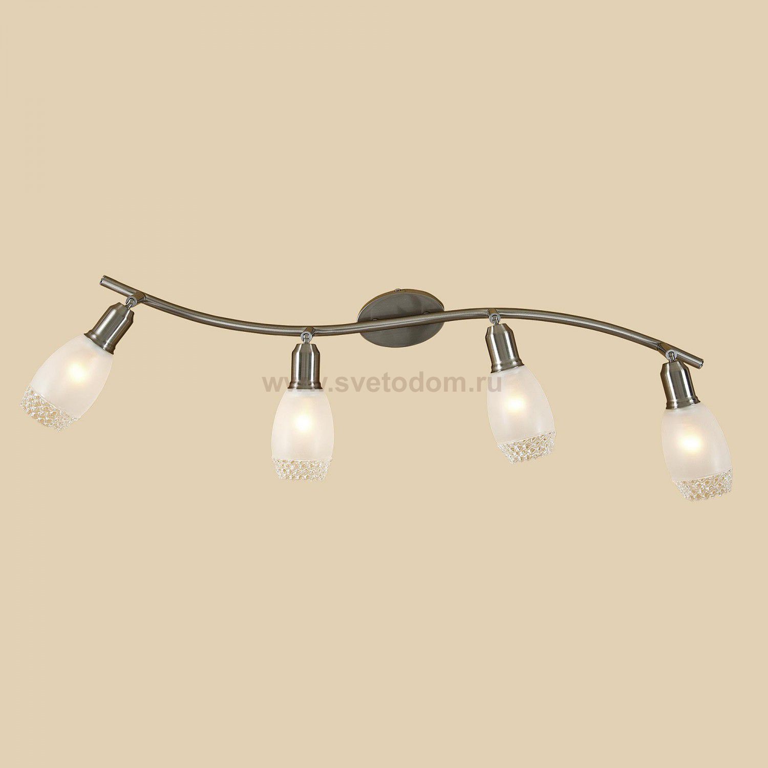 Светильник поворотный спот Citilux CL524541 Мери