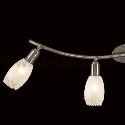 Светильник поворотный спот Citilux CL524541 Мери