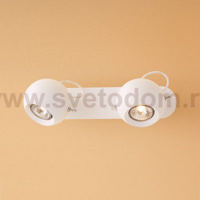 Светильник настенно-потолочный Citilux cl532522 Сфера