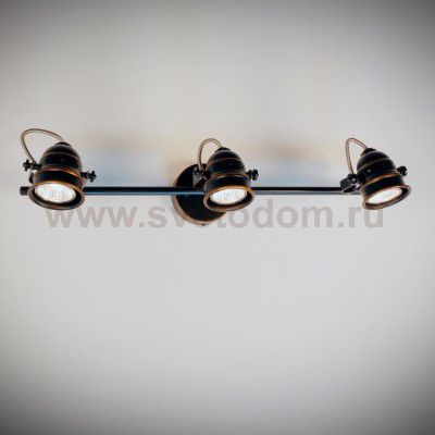 Светильник настенно-потолочный Citilux CL537531 Веймар