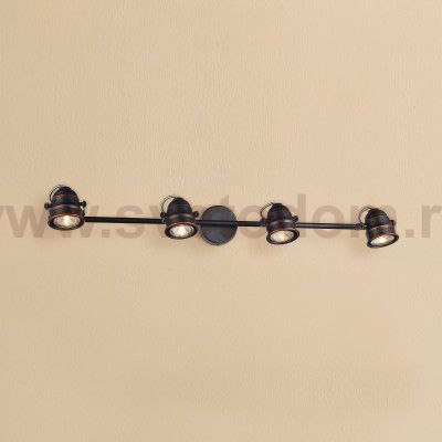 Светильник настенно-потолочный Citilux CL537541 Веймар