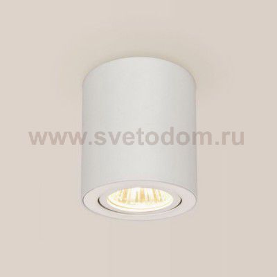 Светильник накладной Citilux CL538111 Дюрен