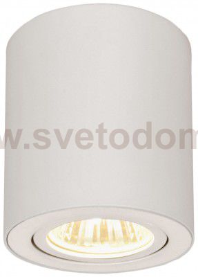 Светильник накладной Citilux CL538111 Дюрен