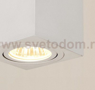 Светильник накладной Citilux CL538211 Дюрен